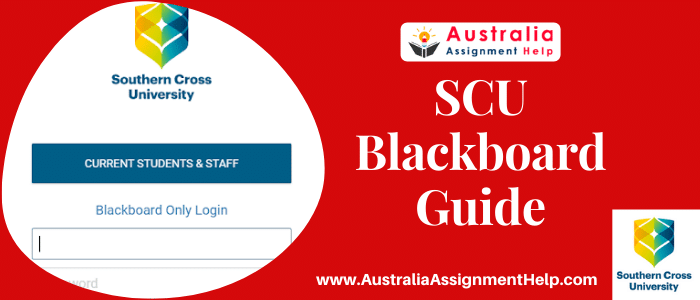 SCU blackboard Guide